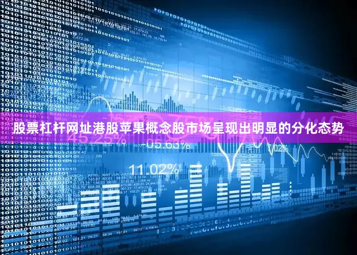 股票杠杆网址港股苹果概念股市场呈现出明显的分化态势