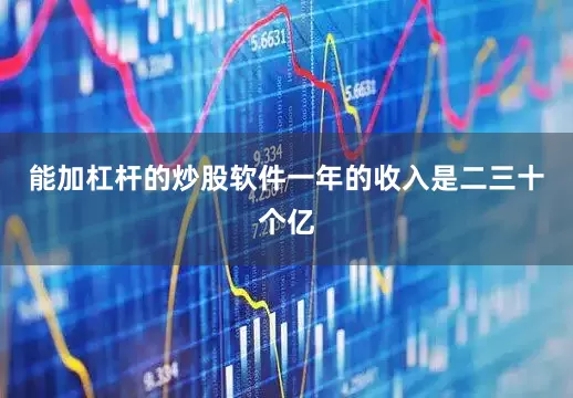 能加杠杆的炒股软件一年的收入是二三十个亿