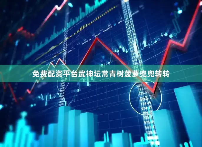 免费配资平台武神坛常青树菠萝兜兜转转