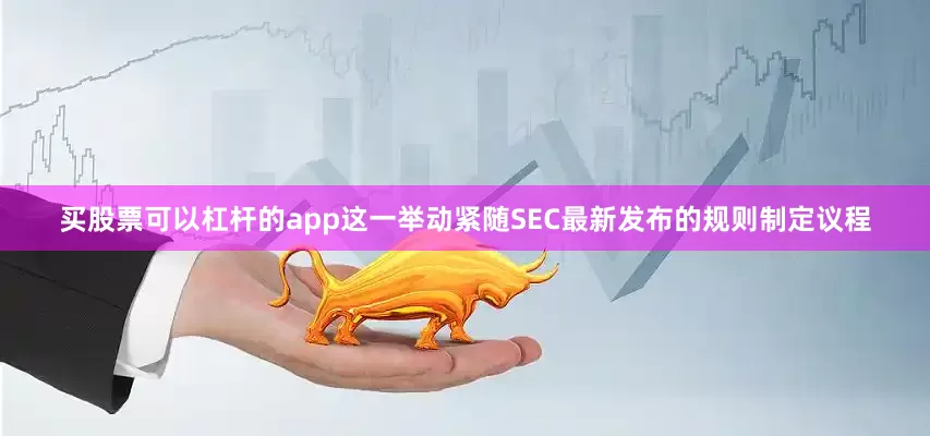 买股票可以杠杆的app这一举动紧随SEC最新发布的规则制定议程