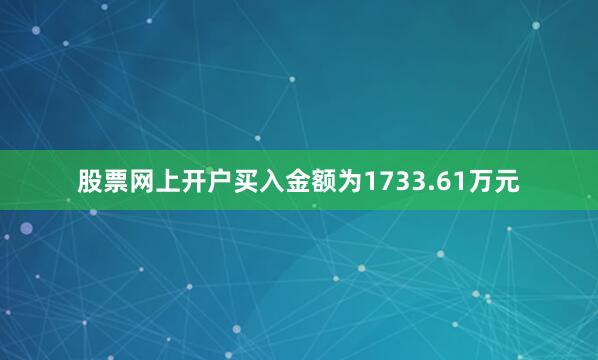 股票网上开户买入金额为1733.61万元