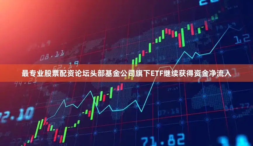 最专业股票配资论坛头部基金公司旗下ETF继续获得资金净流入