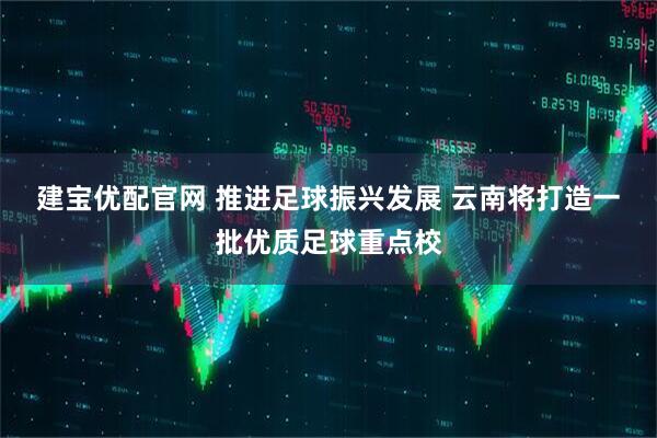 建宝优配官网 推进足球振兴发展 云南将打造一批优质足球重点校